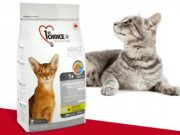 Сухой корм для кошек 1ST CHOICE: виды и достоинства