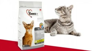 Сухой корм для кошек 1ST CHOICE: виды и достоинства