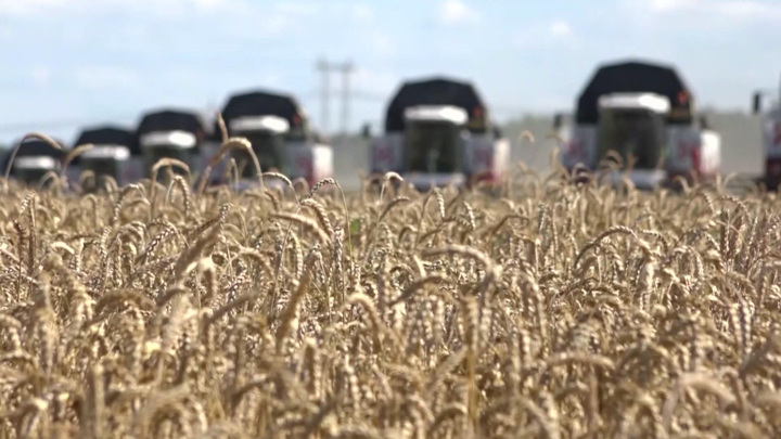 Россия продолжит участие в зерновой сделке при учете ее интересов