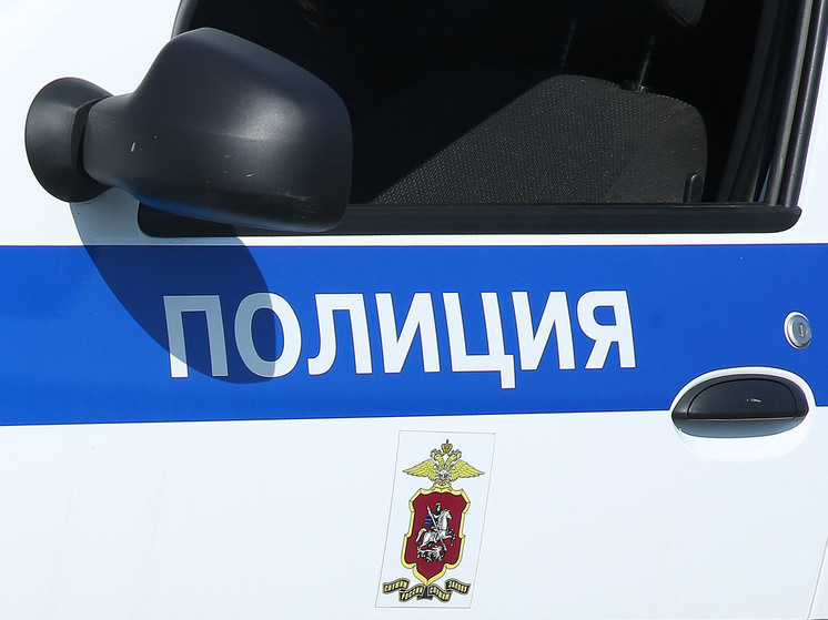 В Москве курьер спас пенсионерку от пытавшегося завладеть ее деньгами мошенника