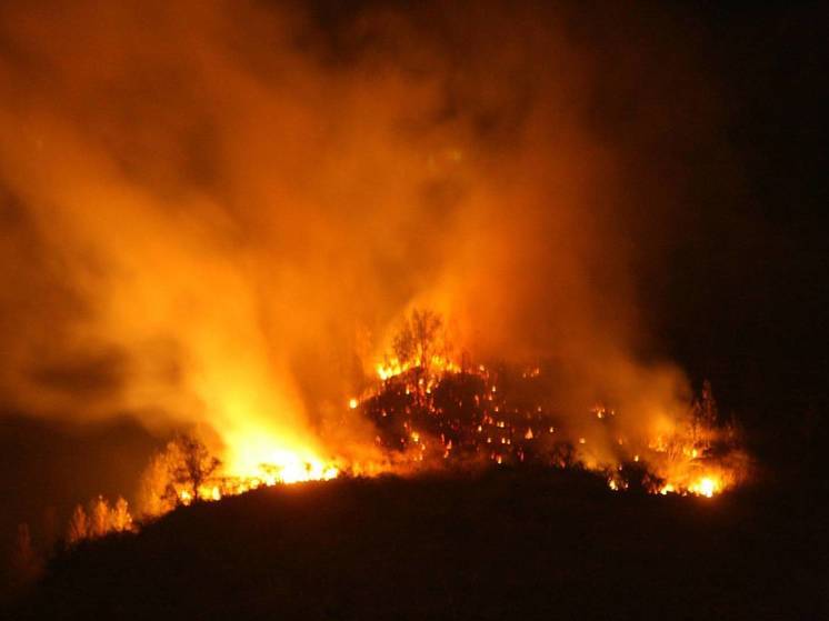 Площадь природных пожаров в Хабаровском крае за сутки увеличилась на 15 тыс. га
