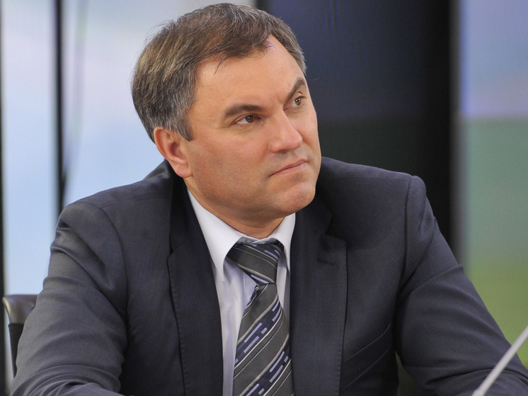 Володин: общество показало зрелость и не поддержало мятеж