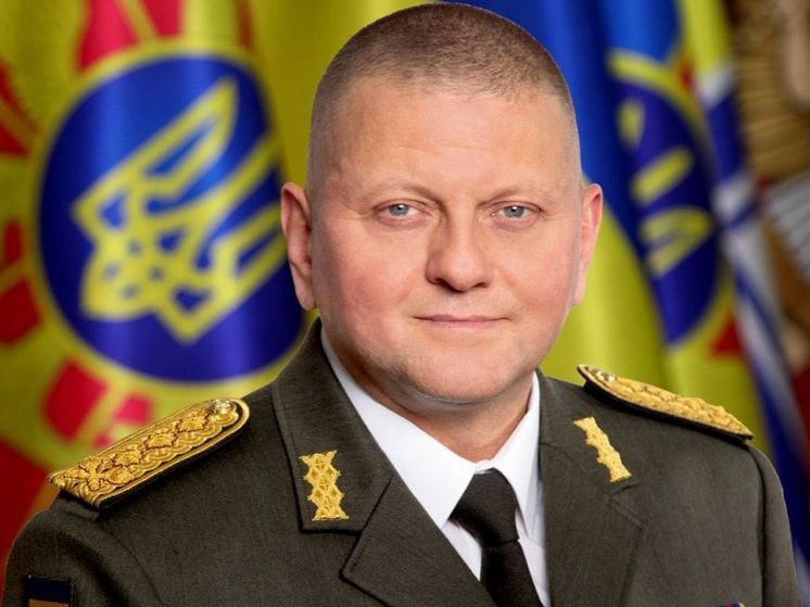 Залужный обсудил наступление Украины с начальником Генштаба Словакии