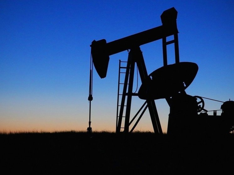 Германия в 12 раз увеличила закупки российской нефти через Индию