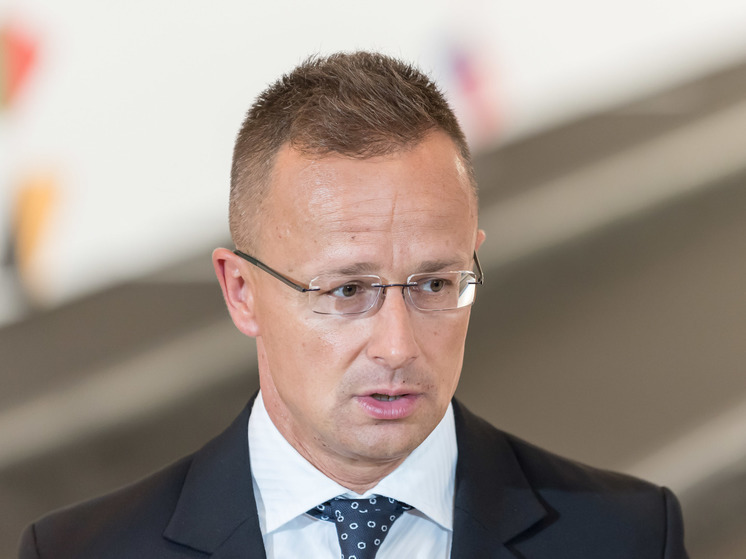 Глава МИД Венгрии: поставки украинского зерна  разрушат  сельхозсектор стран ЕС
