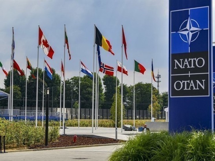 Турция может вскоре ратифицировать вступление Швеции в НАТО