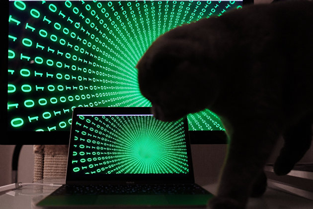 Эксперты рассказали о ситуации с DDoS-атаками в России