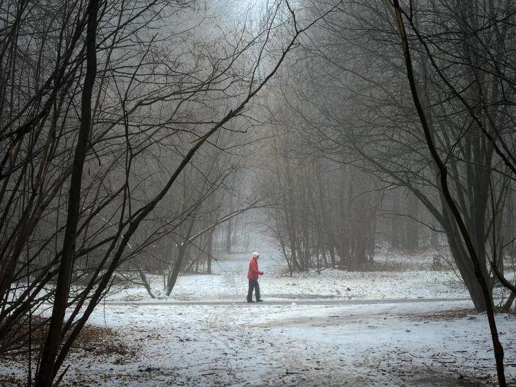 Количество оттепелей в России будет расти, а зимы будут становиться короче