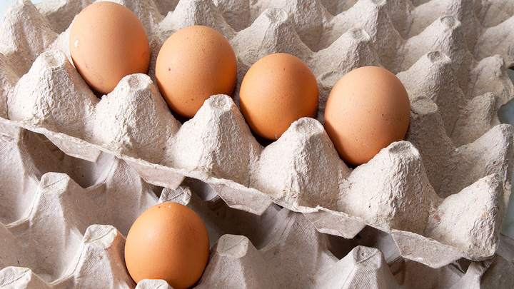 Россельхознадзор: поставки яиц из Белоруссии выросли почти вдвое