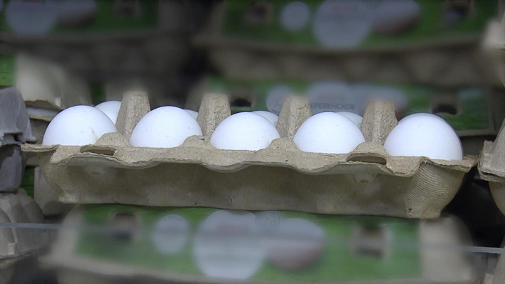 В России уже можно найти яйца дешевле 100 рублей за десяток