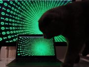 В США зафиксировали беспрецедентные кибератаки на инфраструктуру