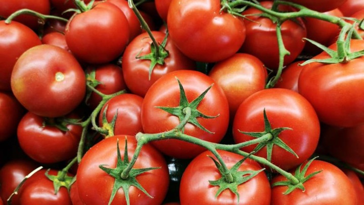 Правительство РФ отменило таможенные пошлины на ввоз томатов до 31 мая