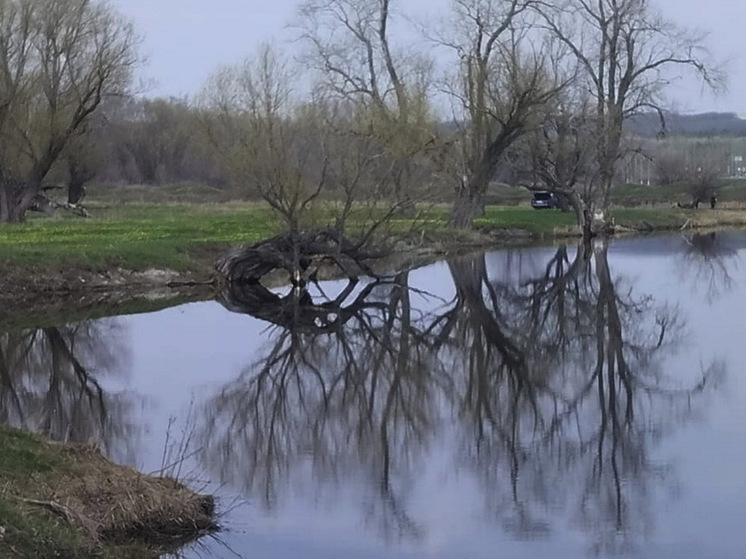 Химическое оружие ВСУ попало в реку под Харьковом
