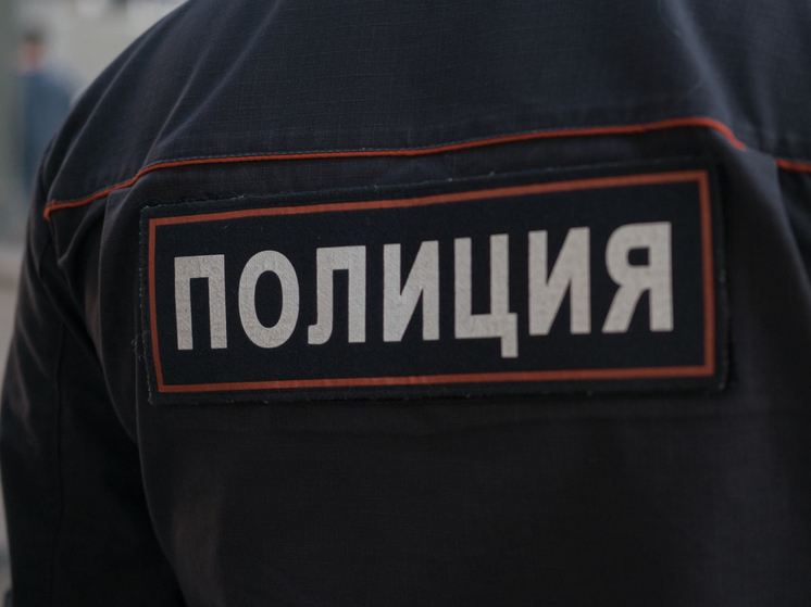 Пропавший в Москве после приговора немецкий инвестор Новак пришел в инспекцию