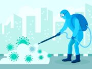 Обработка участка от насекомых: почему стоит доверить профессионалам?