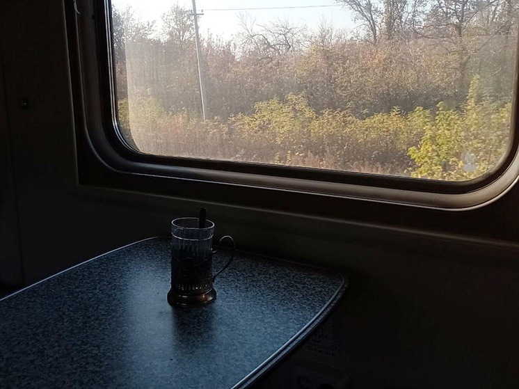 Поезд Орск — Москва остановили из-за подозрительного предмета на рельсах