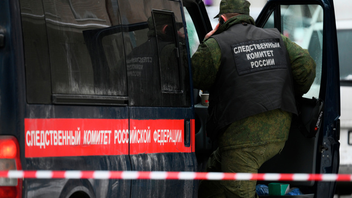 СК возбудил дело после смерти двух подростков от удара током в Красноярском крае - Новости на Вести.ru