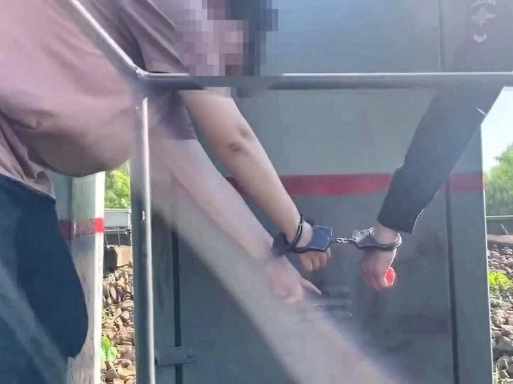 Поджигательница релейных шкафов на железной дороге задержана в российском городе