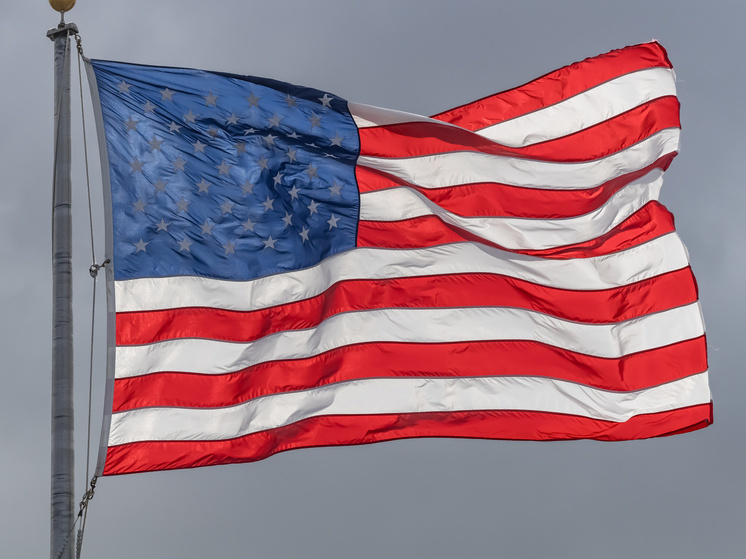 США решили применить для борьбы с плотоядными личинками стерильных мух