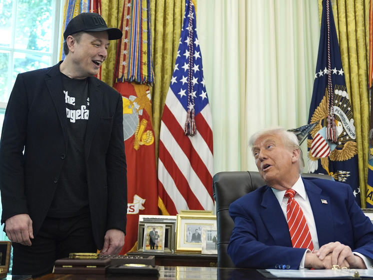 Трамп его съест: оценены шансы новой партии Илона Маска