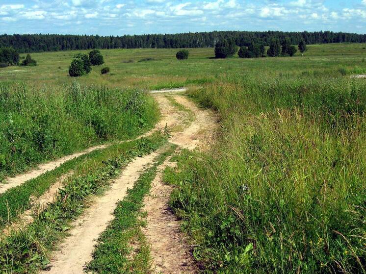 Украинец прошел за 20 дней 100-километровый путь, чтобы присоединиться к ВС РФ