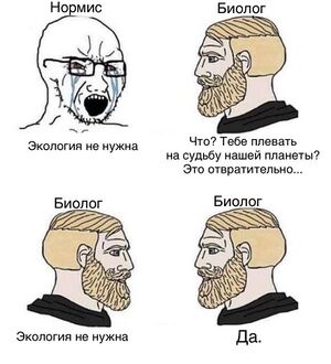 Кто такой нормис (normie): значение, особенности и контекст использования