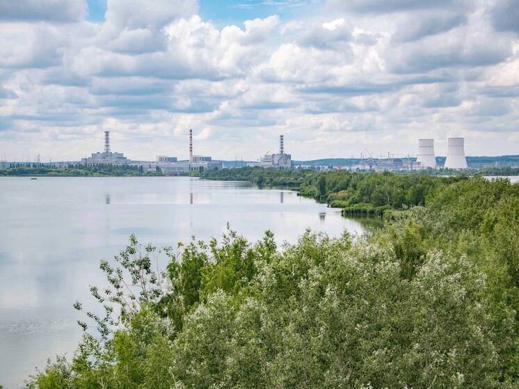 Пожар произошел на территории Курской АЭС