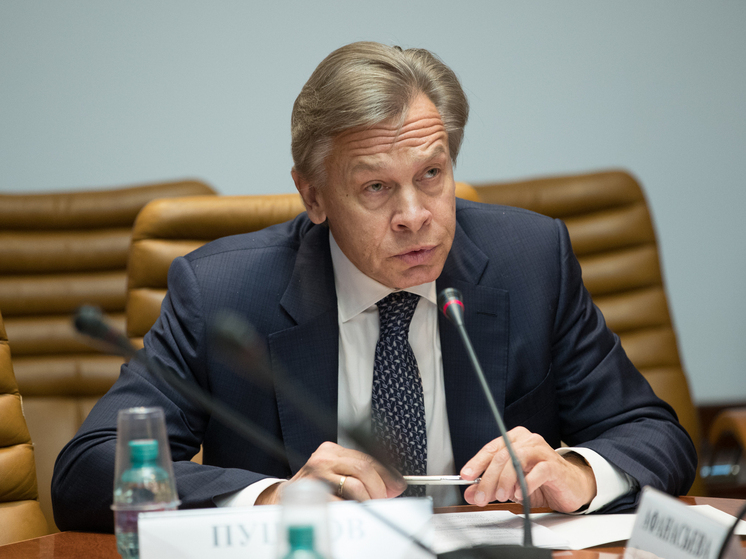 Пушков отметил, что рост преступности мигрантов в Британии является итогом войн НАТО