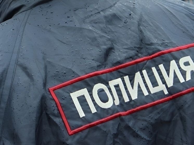 Руководство СК потребовало отчёт о деле с маршрутным автобусом в Подмосковье