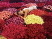 Григорий Лепс преподнёс Авроре Киба роскошный подарок в виде пятнадцати тысяч роз