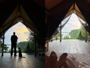 Лысый мужчина Асмус: фанаты называют кандидатов от Бондарчука до Колокольникова