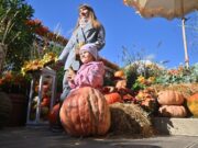 Вильфанд рассказал, где в России ожидается относительно сухой октябрь