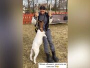 Оксана Самойлова подыскала приемную семью для своей козы