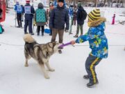 Стало известно о влиянии дрессировки собак на замедление старения у женщин