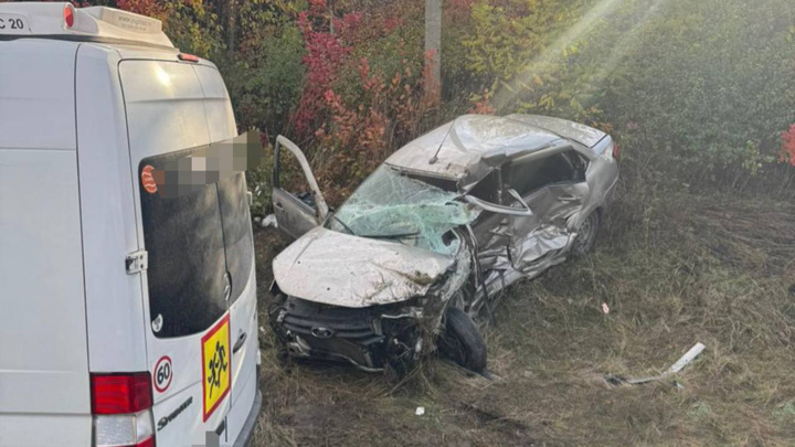 Ставропольский губернатор: все пострадавшие в ДТП дети получили легкие травмы - Новости на Вести.ru