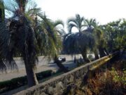 В горах Абхазии автобус с туристами съехал с дороги, погиб человек