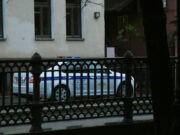 В Подмосковье десятки собак отравлены неизвестным ядом