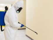 Профессиональная обработка помещений от тараканов: что важно знать