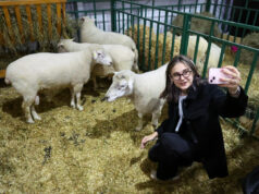 Что можно, а что нельзя делать 11 ноября на Анастасию Овечницу