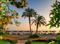 Туры в Египет: древняя культура, море и отдых под солнцем