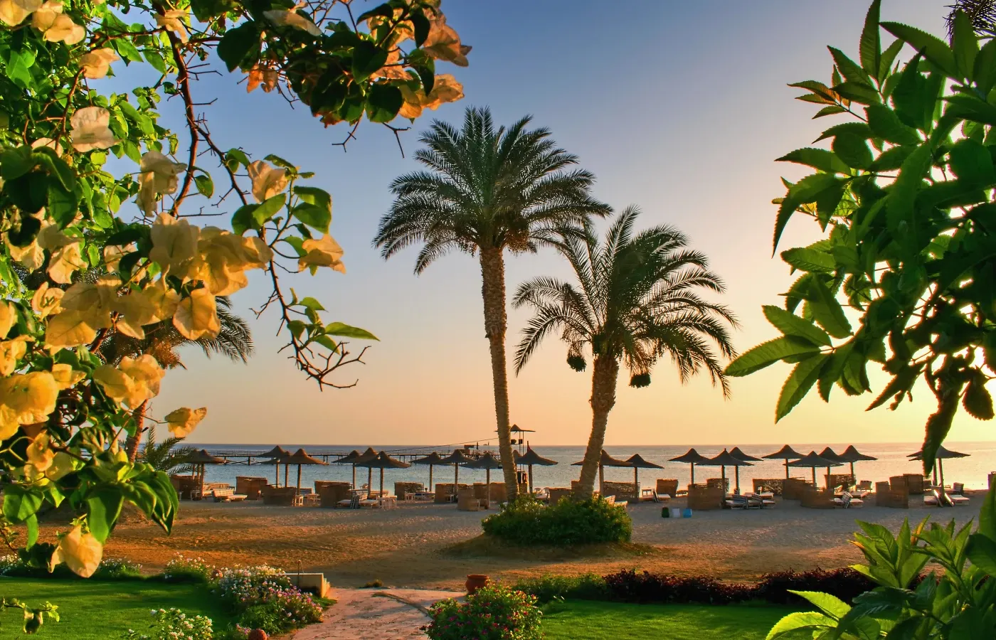 Туры в Египет: древняя культура, море и отдых под солнцем