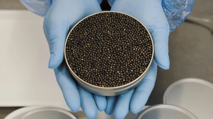 Эксперт Викторов назвал фактор, который влияет на ценообразование черной икры - Новости на Вести.ru