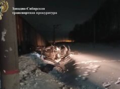 Грузовой поезд снес иномарку на переезде в Новосибирской области — Новости на Вести.ru