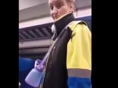 «Иди сюда, польская свинья!»: украинка с ножом устроила террор в польском поезде