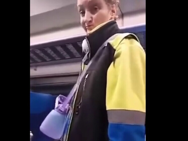 «Иди сюда, польская свинья!»: украинка с ножом устроила террор в польском поезде