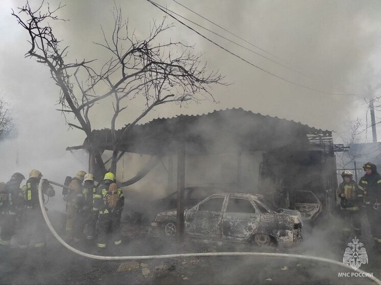 Мать и двое детей заживо сгорели в СНТ в Петербурге