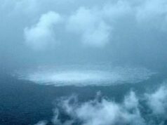 Названа страна, устроившая беспрецедентную атаку на НАТО