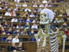 Обязательная работа для медиков: трехлетний срок коснется не всех выпускников