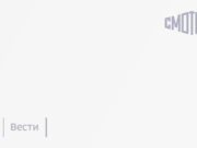 Прикаспийские страны продлили на 2026 год запрет на вылов осетров в Каспийском море — Новости на Вести.ru