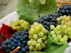 РИА Новости: Россия возобновила в сентябре импорт винограда из Грузии — Новости на Вести.ru